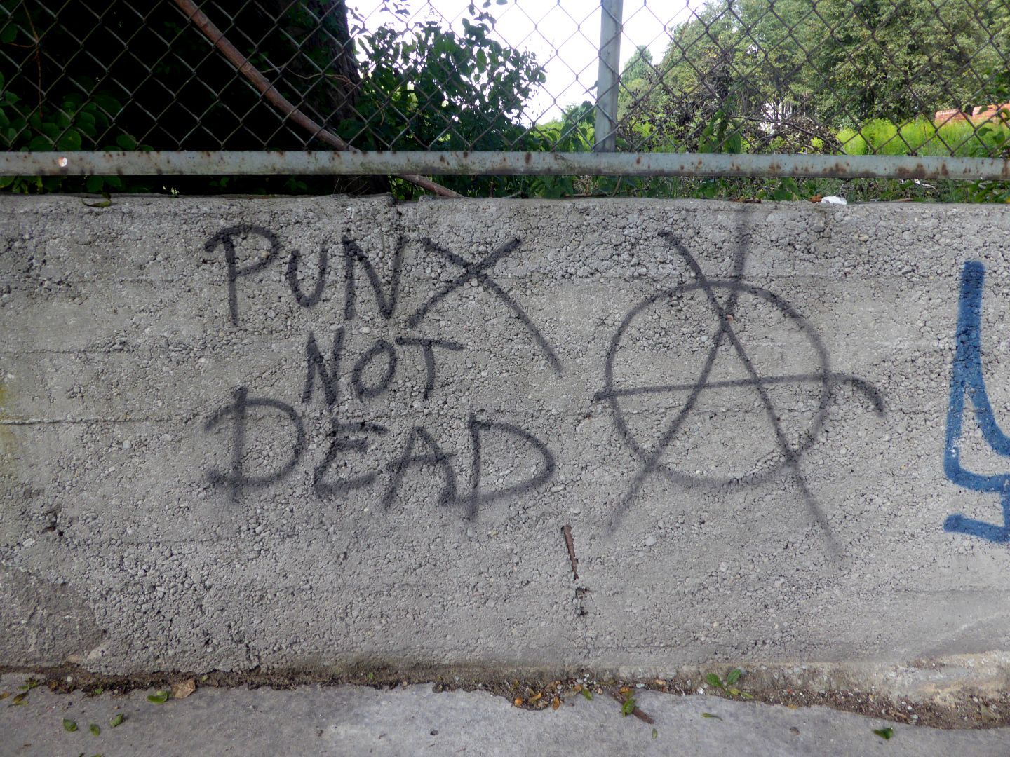 a graffiti on a wall showing punx not dead.