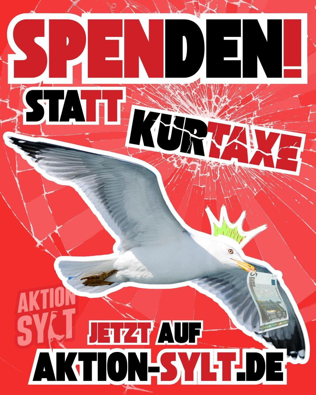 Auf rotem Hintergrund ist eine eingeschlagene Fensterscheibe abgebildet. Davor fliegt eine Möwe mit einer Krone und einem 5-Euro-Schein im Schnabel. Zu ihren Füßen ist blass das Aktion-Sylt-Logo sichtbar. 

Oben und unten ist ein Werbetext in All Caps, der sagt: 
"SPENDEN! STATT KURTAXE
JETZT AUF AKTION-SYLT.DE"